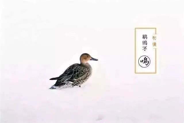 大雪时节,千鸣智能柜大雪时节,大雪节气储物柜厂商